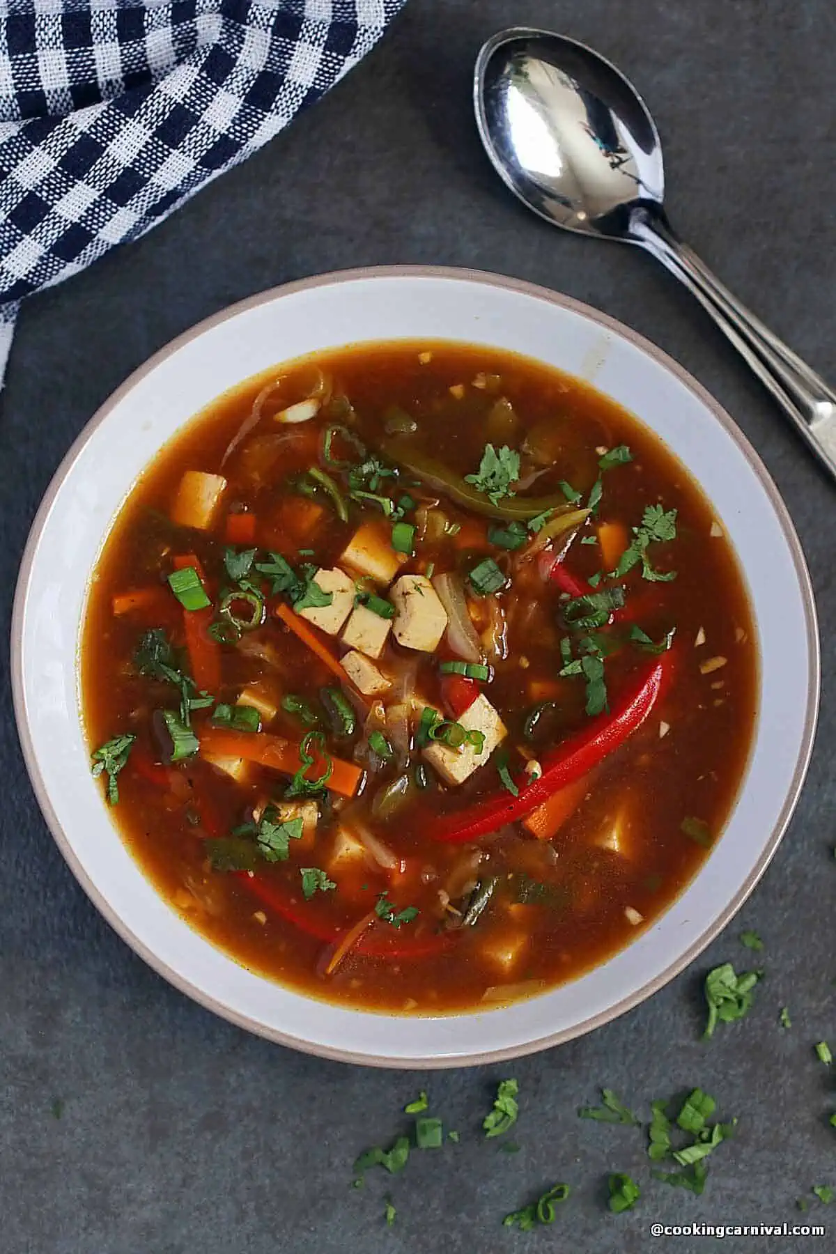 Hot & Sour Veg Soup